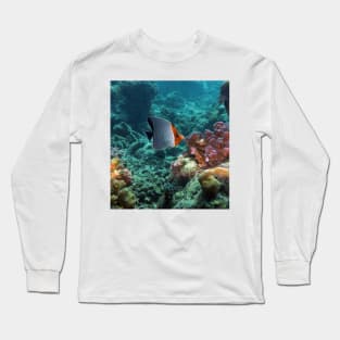 Angelfish Long Sleeve T-Shirt